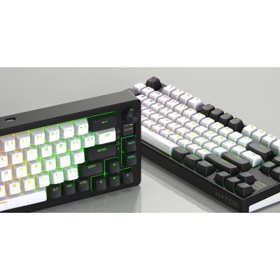 11. HATOR Skyfall 80 MAG ULTIMA 8K kabellose Gaming-Tastatur USB + RF + Bluetooth QWERTZ US-Englisch Schwarz, Weiß