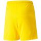 5. Puma teamLIGA Shorts Jr 704931 07