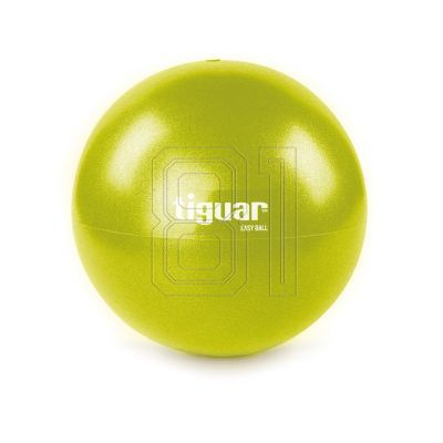 2. Tiguar Easyball TI-PEB026 Gymnastikball