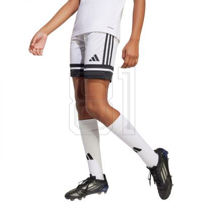 2. adidas Squadra 25 Jr JJ2422 Shorts