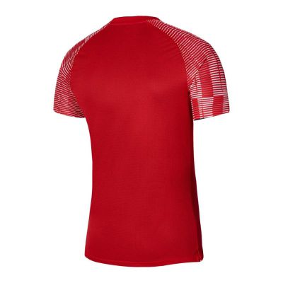 2. Nike Dri-Fit Academy SS M DH8031-657 T-Shirt