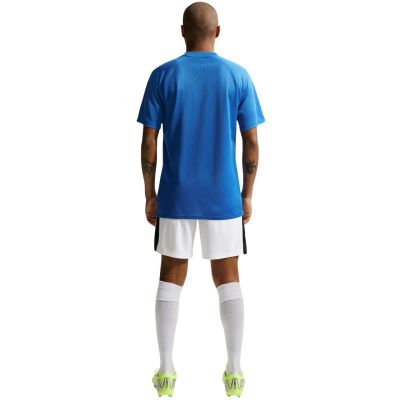 15. Nike Dri-Fit Park VIII Herren-T-Shirt Blau HV8173 463