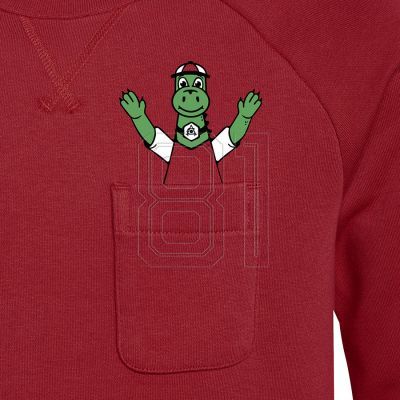 4. adidas Arsenal FC Crew Sweat Jr GR4218 Sweatshirt