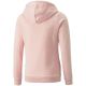 2. Puma ESS Logo Hoodie FL Jr 587031 36 Sweatshirt