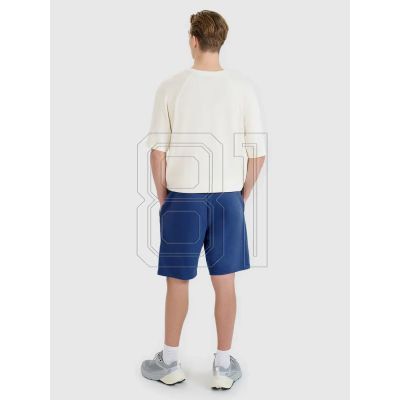 5. Shorts 4F M 4FWMM00TSHOM543-031S