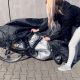 12. Wasserdichte Grillabdeckung, Fahrradabdeckung, Fahrradabdeckung, Gartenmöbelabdeckung, XL-Abdeckung schwarz