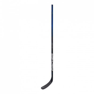 2. Fischer RC One IS2 Sr Composite Schläger