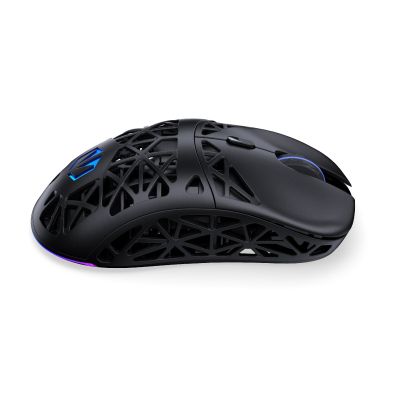 17. ENDORFY LIX Plus Wireless PAW3395 Gaming-Maus (EY6A016)