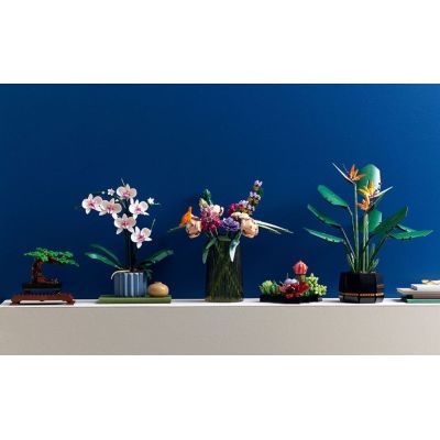 14. LEGO Icons 10311 - Orchidee