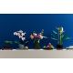 14. LEGO Icons 10311 - Orchidee