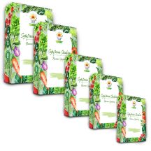TORAF-SAATGUTSET - SET 1X5 2024 TORAF 60X1PCS