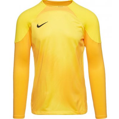 4. Nike Gardien IV Torwart JSY M DH7967 719