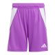 adidas Junior Tiro 24 JC6207 Shorts