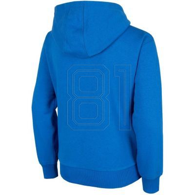 2. Sweatshirt 4F Jr HJZ22-JBLM006 36S