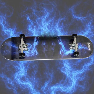 17. LION BEST SPORTING HOLZ-SKATEBOARD