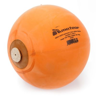 2. Schlauch mit Flansch 23403