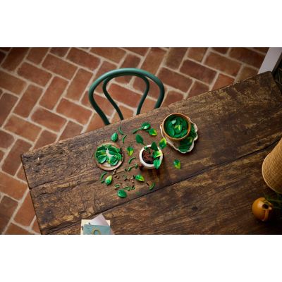 14. LEGO Botanische Kollektion 11512 – Hängendes Gold-Epipremnum