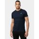 Herren-Baumwoll-T-Shirt 4F 4FWSS25TTSHM3095-31S