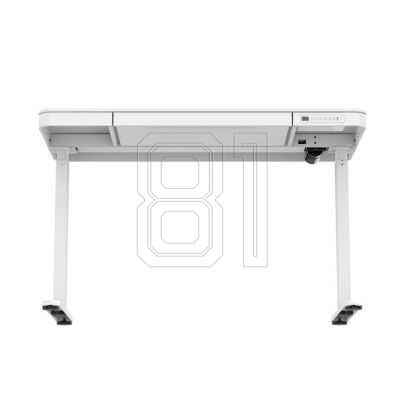 10. Urevo Spacewalk 3S treadmill + Tuckano URTM024+BIUBI electrically adjustable desk