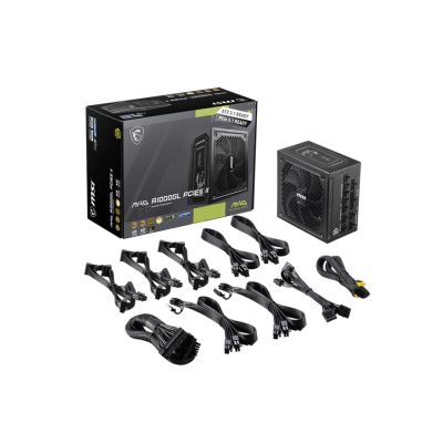 2. MSI MAG A1000GL PCIE5 II Netzteil