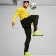 14. Puma Team Goal Slim Training Pants M 659037 03