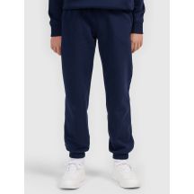 Jogginghose für Jungen 4F 4FJWMM00TTROM1839-31S