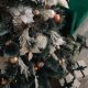 7. Weihnachtsbaum-Linie Klara Schnee 50 cm