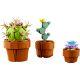 4. LEGO Icons 10329 - Kleine Pflanzen