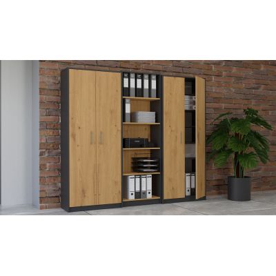 3. GESCHLOSSENES REGAL OLIV 2D ANTHRAZIT/ARTISAN SET