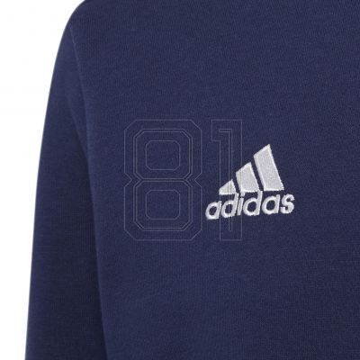 3. Sweatshirt adidas Entrada 22 Hoody Jr H57568