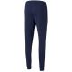 2. Puma teamRISE Poly Trainingshose M 657390 06