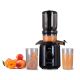 27. ELDOM Slow Juicer PJ350 250 W Schwarz Zwei Filter Neue Generation Schwerlastpresse