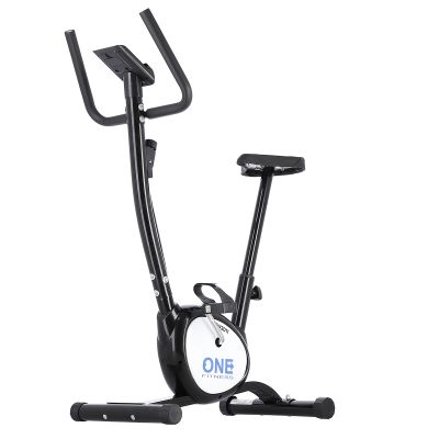 One Fitness RW3011 schwarzes mechanisches Fahrrad