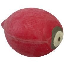 Blase für Reflexball MASTERS 26 cm PP-SP1-1