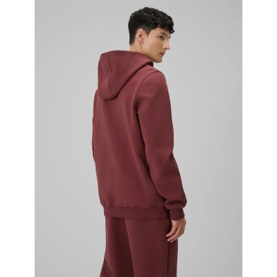 2. Herren-Kapuzenpullover, regulär, Größe 4F 4FRSS26TSWSM2793-60S