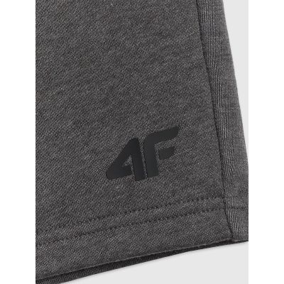 7. Herren-Jogginghose 4F 4FRSS26TSHOM0970-23M