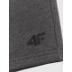7. Herren-Jogginghose 4F 4FRSS26TSHOM0970-23M