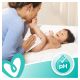 4. Pampers 81687213 Feuchttücher für Babys, 1200 Stück.