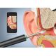 5. Bebird T15 1 Stück.