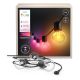 4. Philips Hue White and Color Ambient Hue Festavia Gartengirlande 7 m