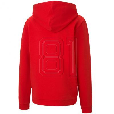2. Puma teamGOAL 23 Casuals Hoody Jr 656711 01 Sweatshirt