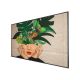 9. PHILIPS D-Line 65BDL4511D 165,1 cm (65") 24/7/UHD (Speditionsversand)