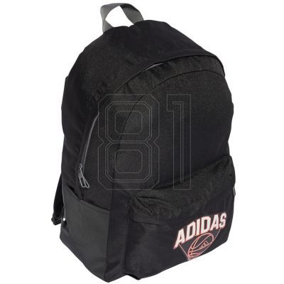 3. Adidas Classic Hoops JG1086 Rucksack