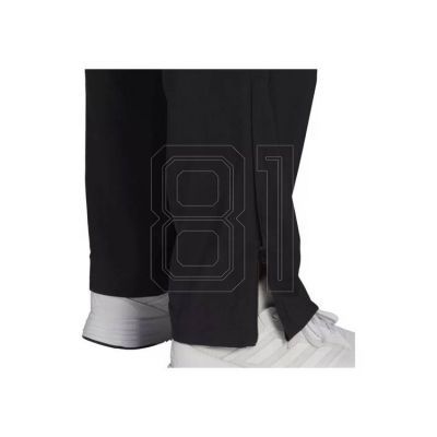 3. Pants adidas Stanford Pants M GK9249