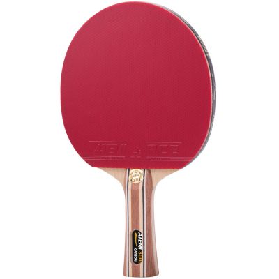 6. Atemi 3000 Tischtennisschläger