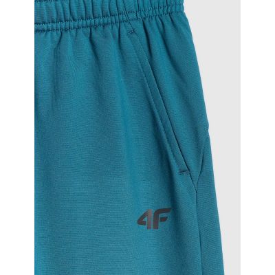 8. Schnelltrocknende Sporthose für Jungen 4F 4FJRSS26TFTRM1460-46S