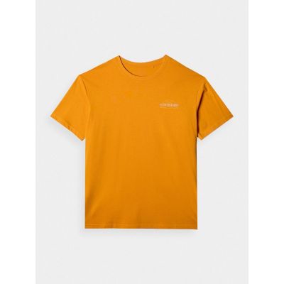 7. Oversize-T-Shirt für Herren mit Aufdruck 4F 4FRAW24TTSHM2578-70S