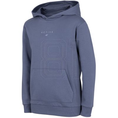 Sweatshirt 4F Jr HJZ22 JBLD003 32S