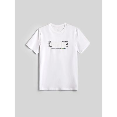 5. Slim-Fit Herren-T-Shirt mit Aufdruck 4F 4FRAW26TTSHM4666-10S