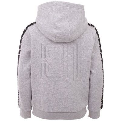 3. Kappa Igon Jr sweatshirt 309043J 15-4101M
